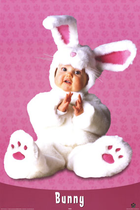 bébé lapin